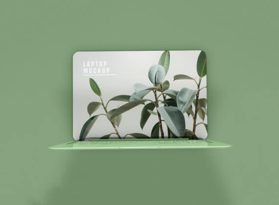 Portfolio 2